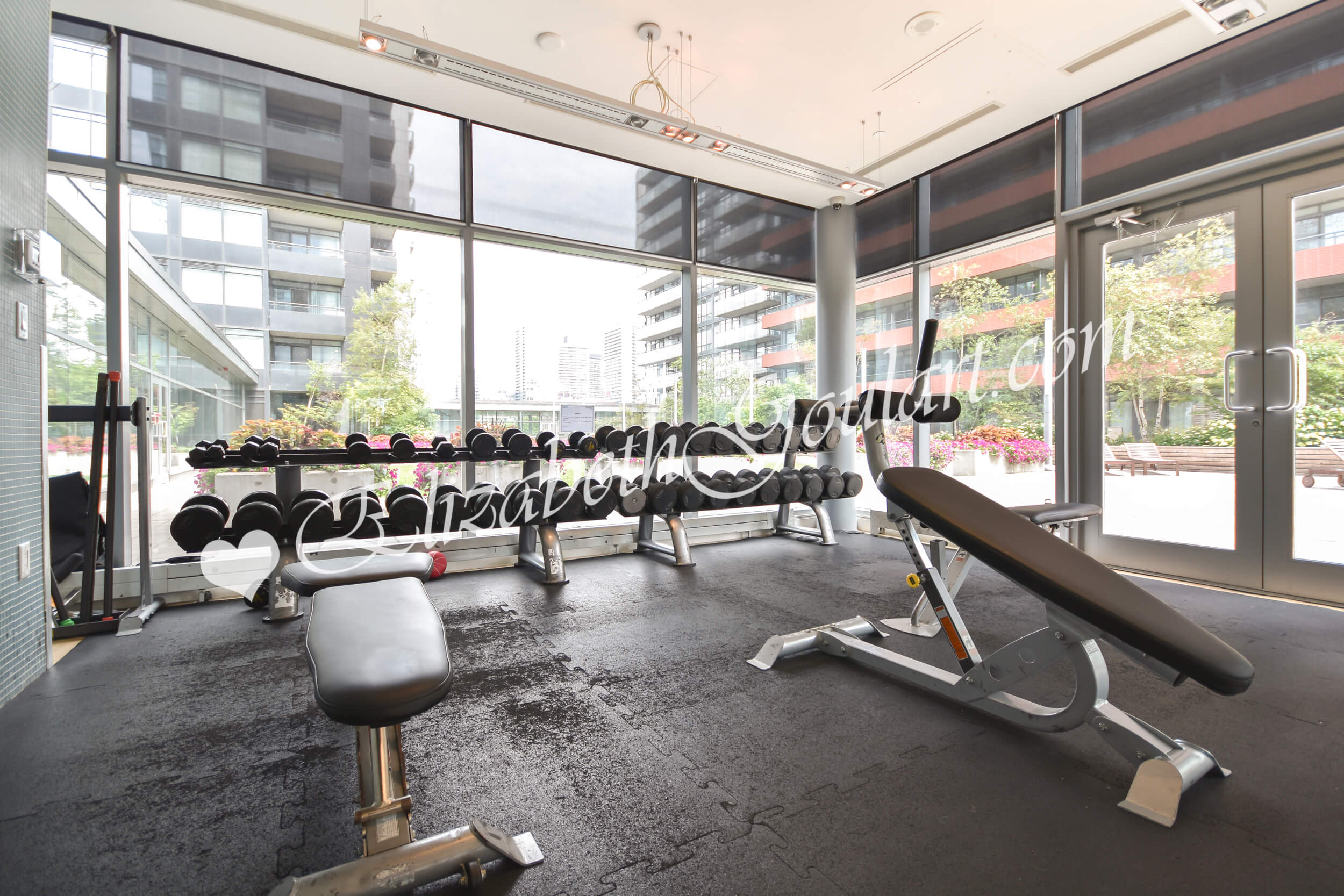 Toronto Harbourfront Condos For Sale Rent Elizabeth Goulart Broker